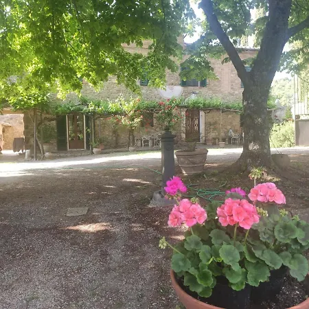 Borgo A Tolli *