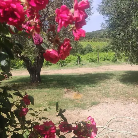 Borgo A Tolli Farm stay *